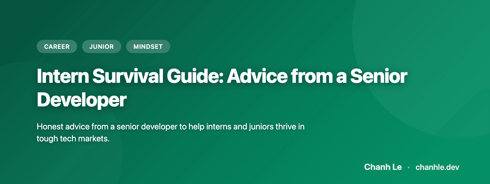 Intern Survival Guide: Advice from a Senior Developer